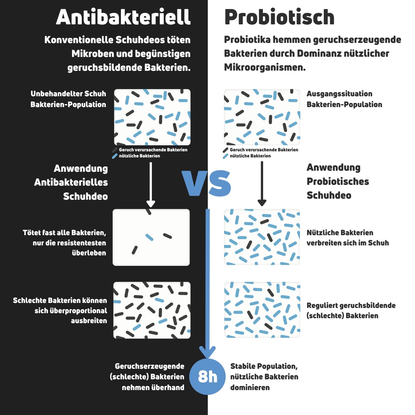Vergleich zwischen antibakteriellem und probiotischem Schuhdeo zur Bekämpfung von Fußgeruch und Bakterien.
