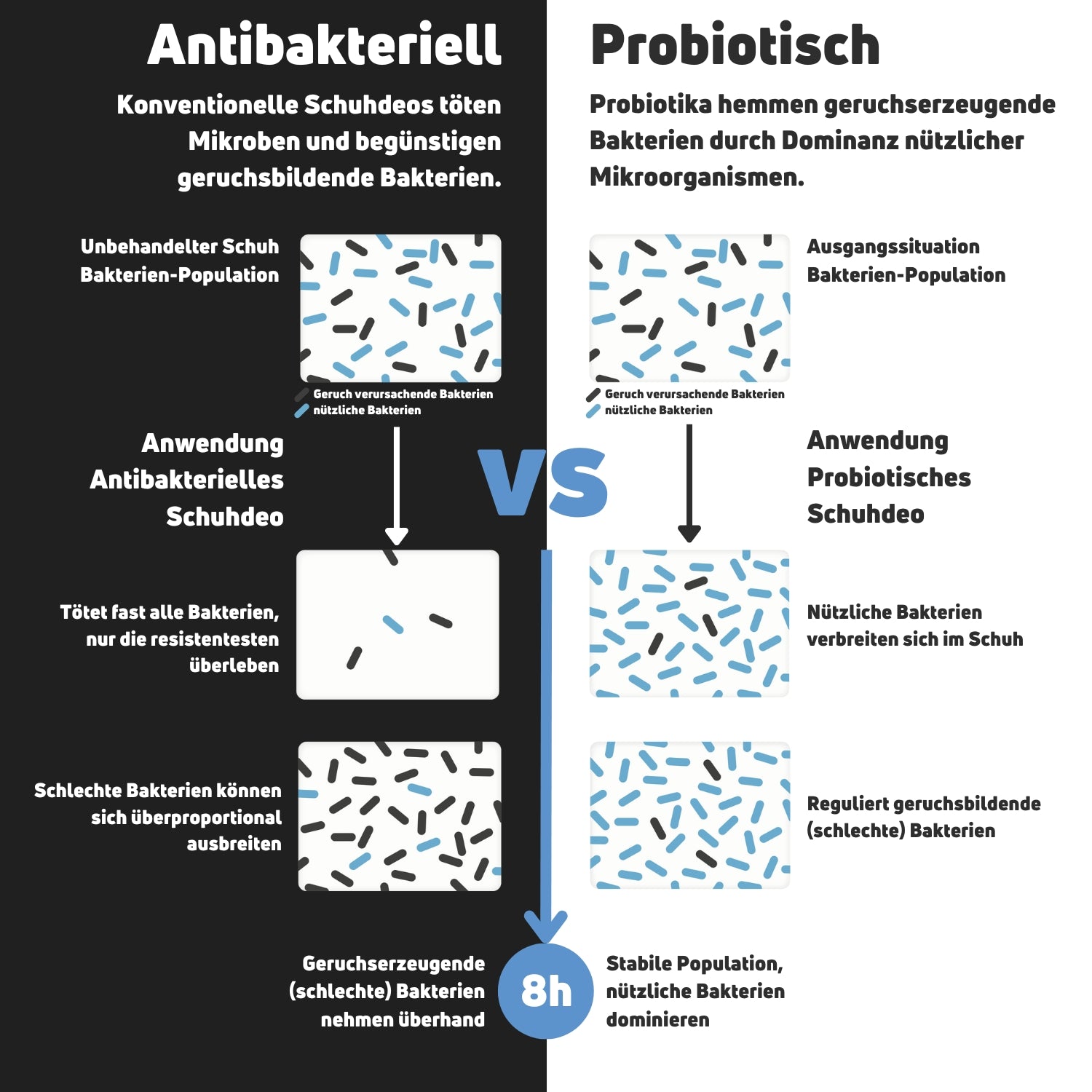 Vergleich zwischen antibakteriellem und probiotischem Schuhdeo zur Bekämpfung von Fußgeruch und Bakterien.