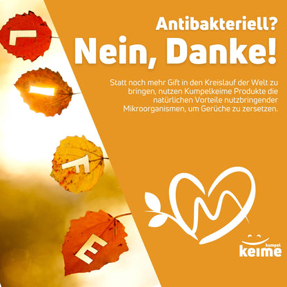Frischkäse Regenbogenpups - Schuhdeo für Kinder für 6 Monate