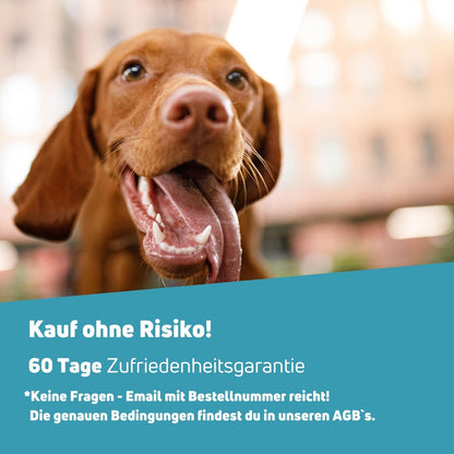 Frischling Geruchsentferner für tierisch guten Duft 250ml
