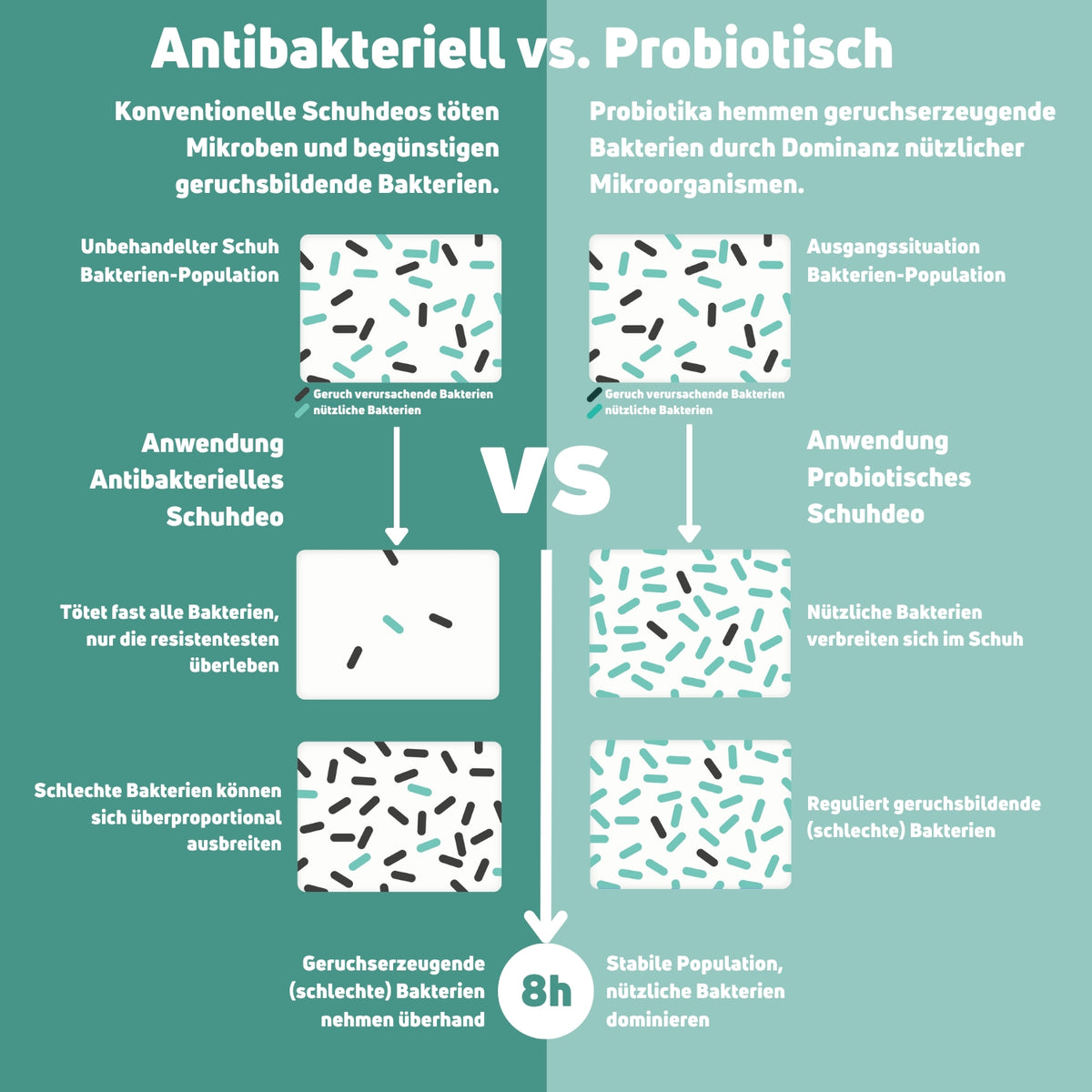 Kräuter-Frischkäse Schuhdeo für dauerhafte Schuhfrische – KumpelKeime